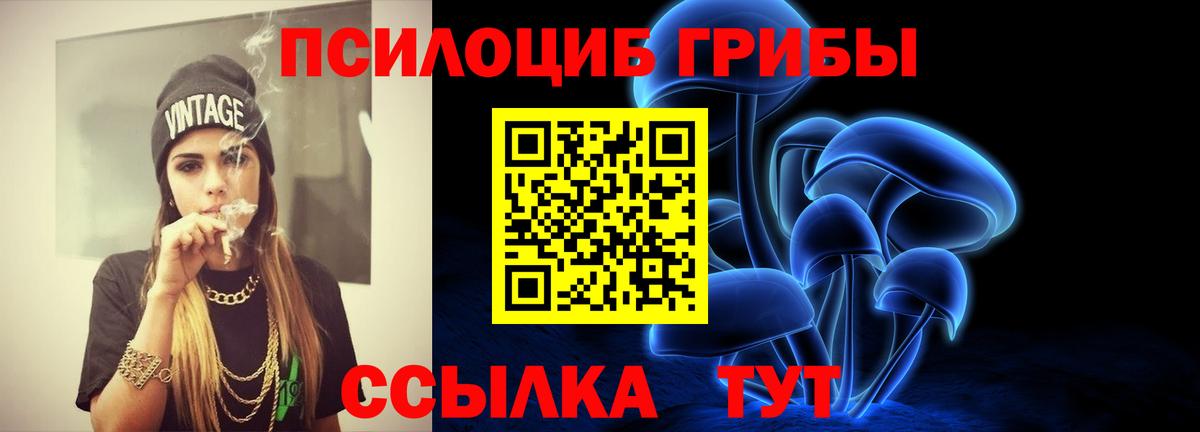 Псилоцибиновые грибы Psilocybine cubensis Ростов-на-Дону